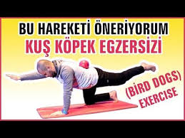 Bu Hareketi Oneriyorum Kus Kopek Egzersizi Bird Dogs Youtube Egzersiz Kopek Spor