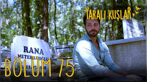 Yarali Kuslar 75 Bolum Youtube