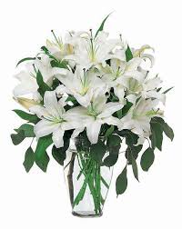 Our boutique studio is always full of colorful flowers, interesting plants and fun curiosities for decorating and gifting. Serenity All White Lilies Flower Delivery White Lilies White Lily Bouquet