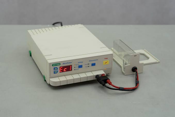 Elektroporasyon cihazı