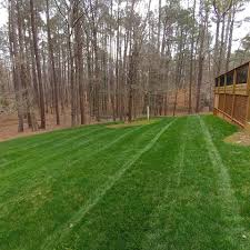 Wake landscapes is a lawn care and maintenance company serving cary, apex and morrisville, nc. Portfolio 919 263 5200