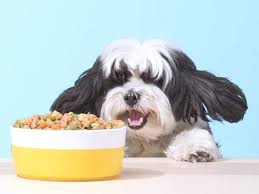 Have you been looking around for a new diet for your dog? Petplate Vs Ollie I Gave Both Fresh Dog Food Delivery Services A Try