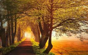 Herfst Wallpapers Herfstfoto S Achtergronden Herfst Landschap Achtergrond