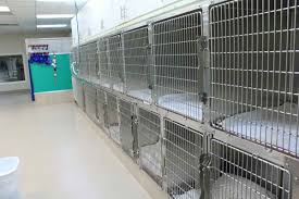 Pet emergency clinic of pitt county. Virtual Tour Pet Emergency Clinic Of Pitt County