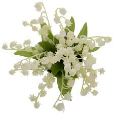 Maybe you would like to learn more about one of these? Lily Of The Valley In Metal Pot Hobby Lobby 1888007