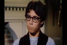 My Three Sons" Whatever Happened to Ernie? (TV Episode 1972)