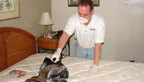 نصائح للقضاء على عث الغبار المنزلي