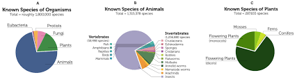 Taxonomy Biology For Majors Ii