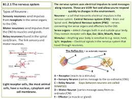 Aqa Gcse Science Biology B1 Revision Biology Revision Gcse Science Gcse Biology Revision