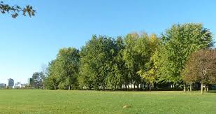 MUNICIPALITY OF BLUEWATER CLASS ENVIRONMENTAL ASSESSMENT FOR A NEW WATER  STORAGE FACILITY COMMUNITY OF HENSALL SCREENING REPORT