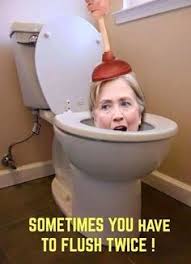 Image result for clinton foundation toilet