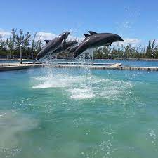 When it comes to pest control fl, there are a lot of companies that are providing help in a similar field but getting in touch with someone who has expertise isn't easy at all. Tony Webb Pest Control Inc Home Facebook