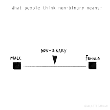 What admission officers, common app ceo say not to worry about. Juno Hyperspace Wizard On Twitter Hey Non Binary Is Not Some Neutral Third Gender Option Between Male And Female That Literally Defeats The Whole Point Happy Pride Dear Nb Friends Feel