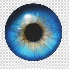 Human Eye Eyes Png Watercolor Cartoon Flower Frame Heart Human Eye Eye Illustration Eye Color