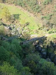 We did not find results for: Cascata Da Candoso Lamedo Rossas Foto De Mimosa Wandelingen Vieira Do Minho Tripadvisor