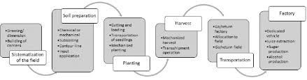 Flow Chart Of Agricultural Processes Until The Final Product