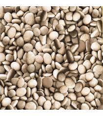 Check spelling or type a new query. Free Download Sante Taupe Pebbles Wallpaper Jo Ann 1200x1360 For Your Desktop Mobile Tablet Explore 50 Joann S Wallpaper Does Michaels Sell Wallpaper Cheapest Wallpaper In The World Wallpaper To