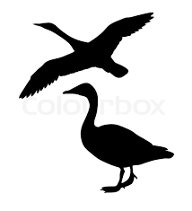 Black And White Goose Silhouette Stock Vector Of Vector Silhouette Goose On White Background Goose Tattoo Silhouette Pictures To Paint