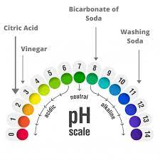 Understanding Natural Cleaning Ingredients
