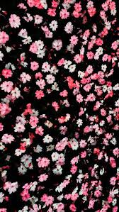 Black Pink Blush Mini Ditsy Floral Flowers Iphone Phone Wallpaper Lock Screen Background Latar Belakang Bunga Wallpaper Ponsel
