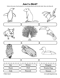Learn About Animals And Classification On Exploringnature Org Food Web Life Cycles Elementary