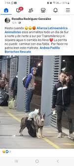 Wilmar Rincon (@WRinconNavarro)