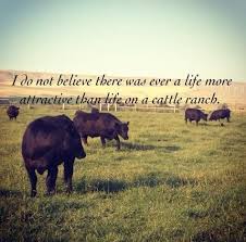 So True Wink Chic Cattle Ranching Cattle Cow Quotes