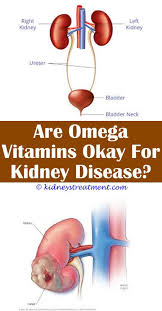 Kidney Disease Recipes For Dogs Kidney Disease Awareness Treatment For Kidney Disease Kidney Disease Recipes