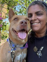 Van Jam Campout: Music Fest and Wellness Retreat for Nomads