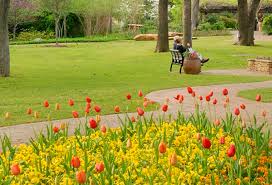 We did not find results for: Grapevine Botanical Gardens At Heritage Park