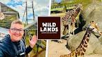 Wildlands Adventure Zoo Vlog 2025 - AMAZING Zoo With ... - YouTube