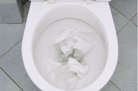 Noch Nie War Die Reparatur So Einfach Eine Verstopfte Toilette Kann In Jedem Haushalt Mal Vorkommen Es Gibt V Verstopfte Toilette Reparieren Frischhaltefolie