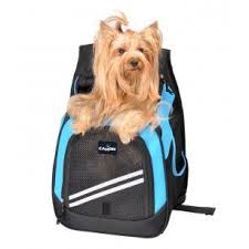 Top 10 Des Meilleurs Sacs Et Caisses De Transport Pour Chat Animalerie Boutique Porteurs D Animaux Animalerie Boutique Petit Chien