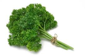 Salah satu penyakit seperti itu menyebabkan kekuningan daun saderi. Akhi On Twitter 40 Daun Sup Saderi Parsley