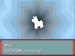 Pokemon Emerald Poochyena Evolves To Mightyena