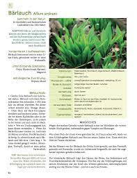 Jetzt bei uns erstmals als preisgünstige sonderausgabe! Die Krauter In Meinem Garten Gesund Mit Natur