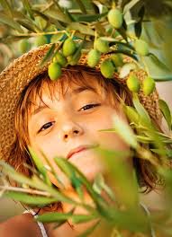 Autumn olivier Stock Photos, Royalty Free Autumn olivier Images