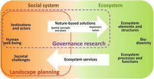 The quality of the landscape design and the overall level of the landscape are largely determined by the strength of the ecological planting capacity. Addressing Societal Challenges Through Nature Based Solutions How Can Landscape Planning And Governance Research Contribute Sciencedirect