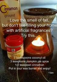 Instead Of Wax Tarts In Your Tart Burner Use Coconut Oil And Cinnamon As A Natural Alternative Scents Home Scents Smell Good