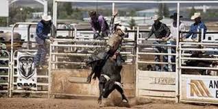 Discount Rodeo Tickets Buy Rodeo Tickets Online Rodeo