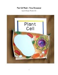 We used jelly to create an easy plant cell model showing the main features of a plant cell. Plant Cell Models Worksheets Teaching Resources Tpt