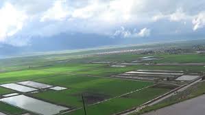 تجفيف سهل الغاب آثار بيئية واقتصادية مدمرة Greenarea Me