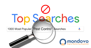 Professional exterminators accurately identify pests. The Most Searched Pest Control Keywords In Google Mondovo