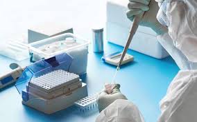 The pcr tests takes at least 24. Coronavirus Rt Lamp A New Technology For Detecting Covid 19 The Hindu