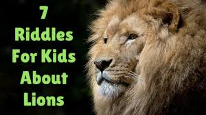 After usc dismissed head … Lion Riddles