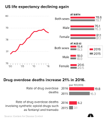 Image result for Life Expectancy