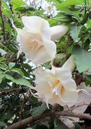 Pin On Nature