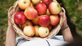 Image result