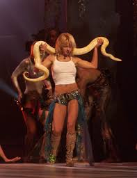 Image result for britney spears python