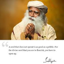 Sadhguru - A seed that does not sprout is as good as a pebble. For the divine seed that you are to flourish, you have to open up. #SadhguruQuotes | Facebook